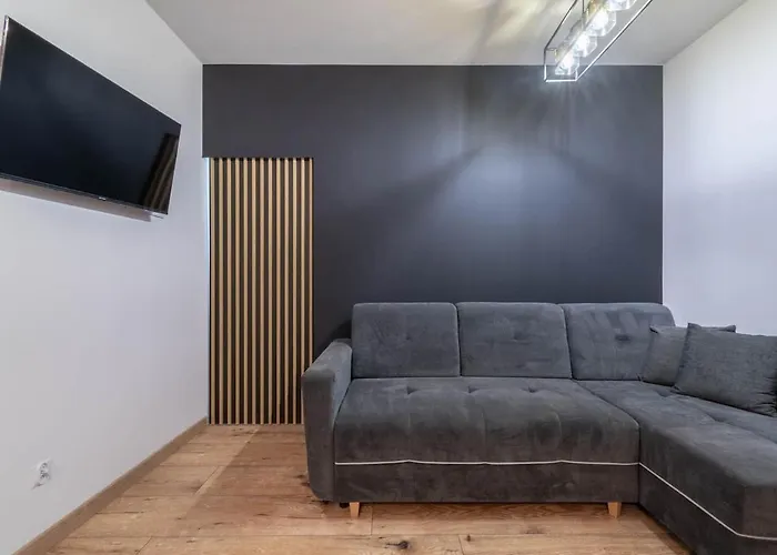 Apartment Posnania Self-check *